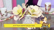 Samira TV en direct (live) - قناة سميرة تي في مباشر_14