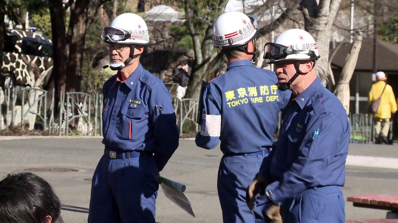 Japon : un gardien de zoo se déguise en léopard pour simuler une évasion
