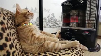 How good is a heater on a cold day? Just ask this guy..