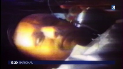 Lune : le trésor secret de Neil Armstrong