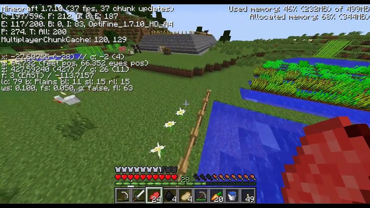 DIAMANTE [SoWTF's Minecraft Party] #9