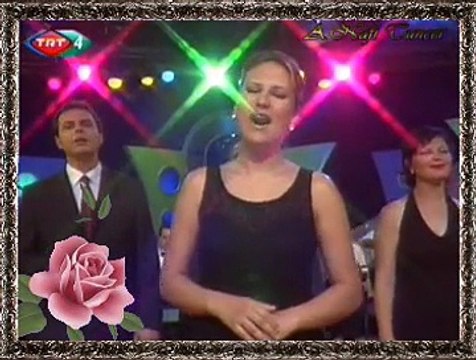 Nevra GÜNAY TOSUN *Mayadağ'dan Kalkan Kazlar* (Vardar Ovası)