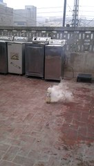 testing plastic botel