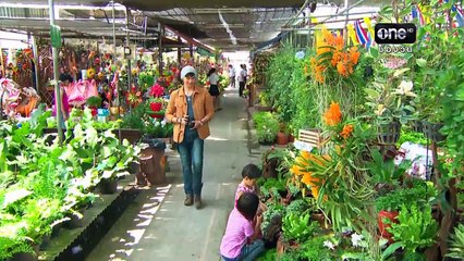 la sombra del corazon cap1 4/4