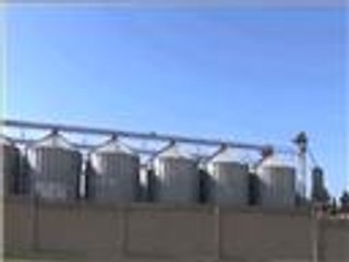 تنظيم الدولة ينفي سيطرة القوات الكردية على صوامع صرين