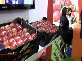 A BERLINO SIAMO...ALLA FRUTTA MATERA 10-2-2015