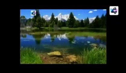 la  alondra y sus crias   fabula Moraleja y cuento para grandes y chicos  infantil niños relatos