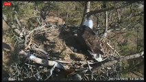 2015 02 10 Berry College Eagles:  Tuesday Footage