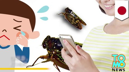 Child abuse: Parents torture child with insects and kendo blade