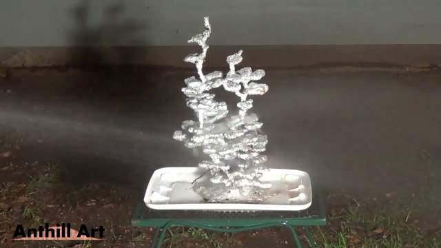 Ant Hill Art : Casting a Field Ant Colony with Molten Aluminum