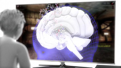 Le cerveau des enfants du numérique