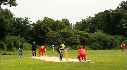 Austin Hutchinson CASTLED by Mark Audain, T20 Cricket July 2014