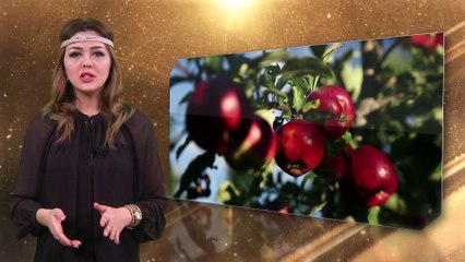 Aysel Vəlizadə - Müsəlmanların təmizliyi necə olmalıdır