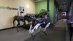 Spot, le chien-robot de Boston Dynamics