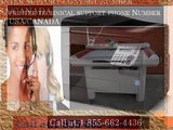 Call 1-855-662-4436,HP Printer Tech Support number(Toll Free Number)Technical Support
