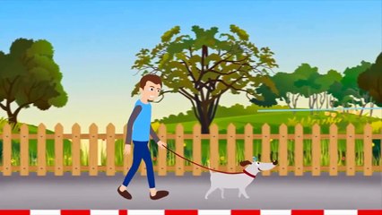 Dog Walking Cambridge (Serving The Boston area) MonumenTails