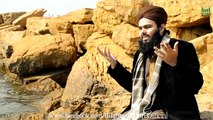 Zameeno Zaman Tumhare Liye: M. Bilal Raza Qadri