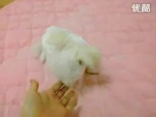 pusi카지노사이트＼＼こ【【ＤＢＴ７７７。ＣＯＭ】】さ＼＼카지노사이트Ｏ­Ｍ】】さ＼＼카­지­노­사­이­트