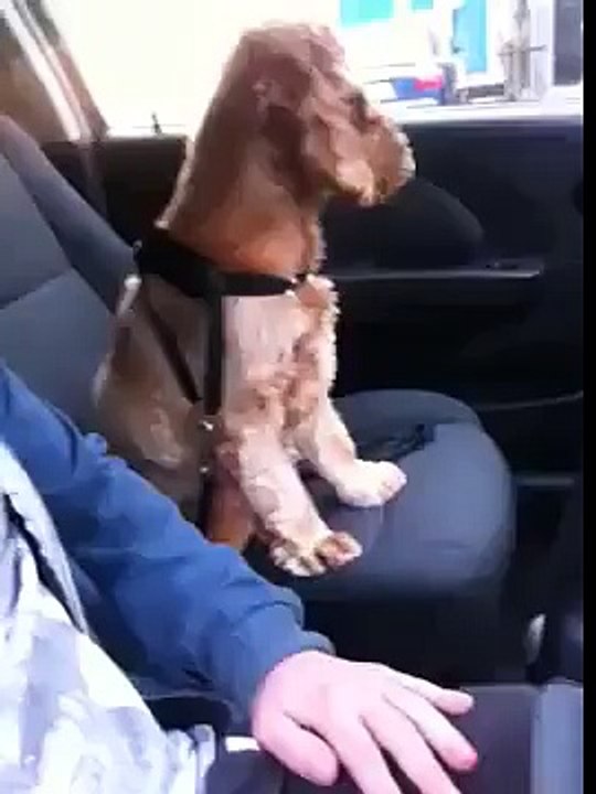 cant drive unless his hand is being held!