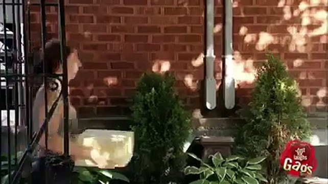 Face door knocker prank!mp4