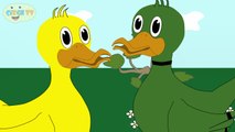 Ördek Rondu - Paytak Yürürsün - Çizge TV - Çizgi Film - Okul Öncesi - Ana Okulu - Çocuk Şarkıları