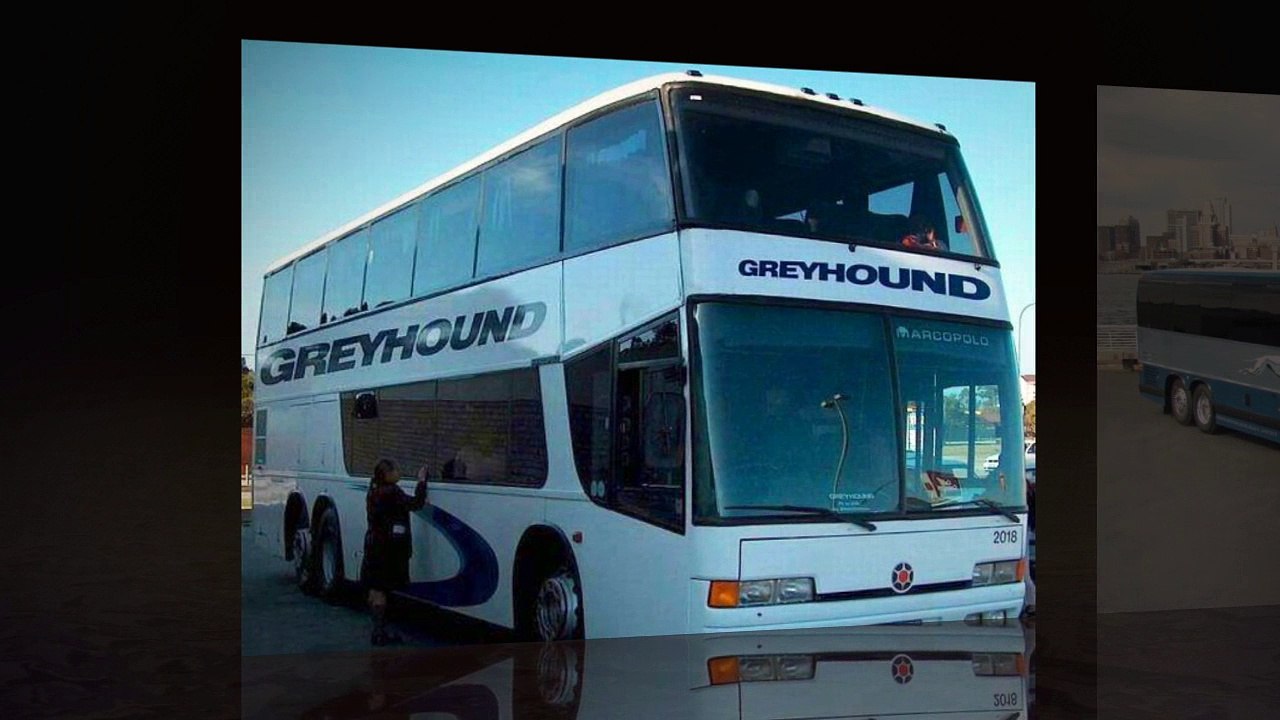 Greyhound Coupons