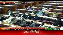 Chaudhary Nisar Speech In National Assembly - 11th February 2015