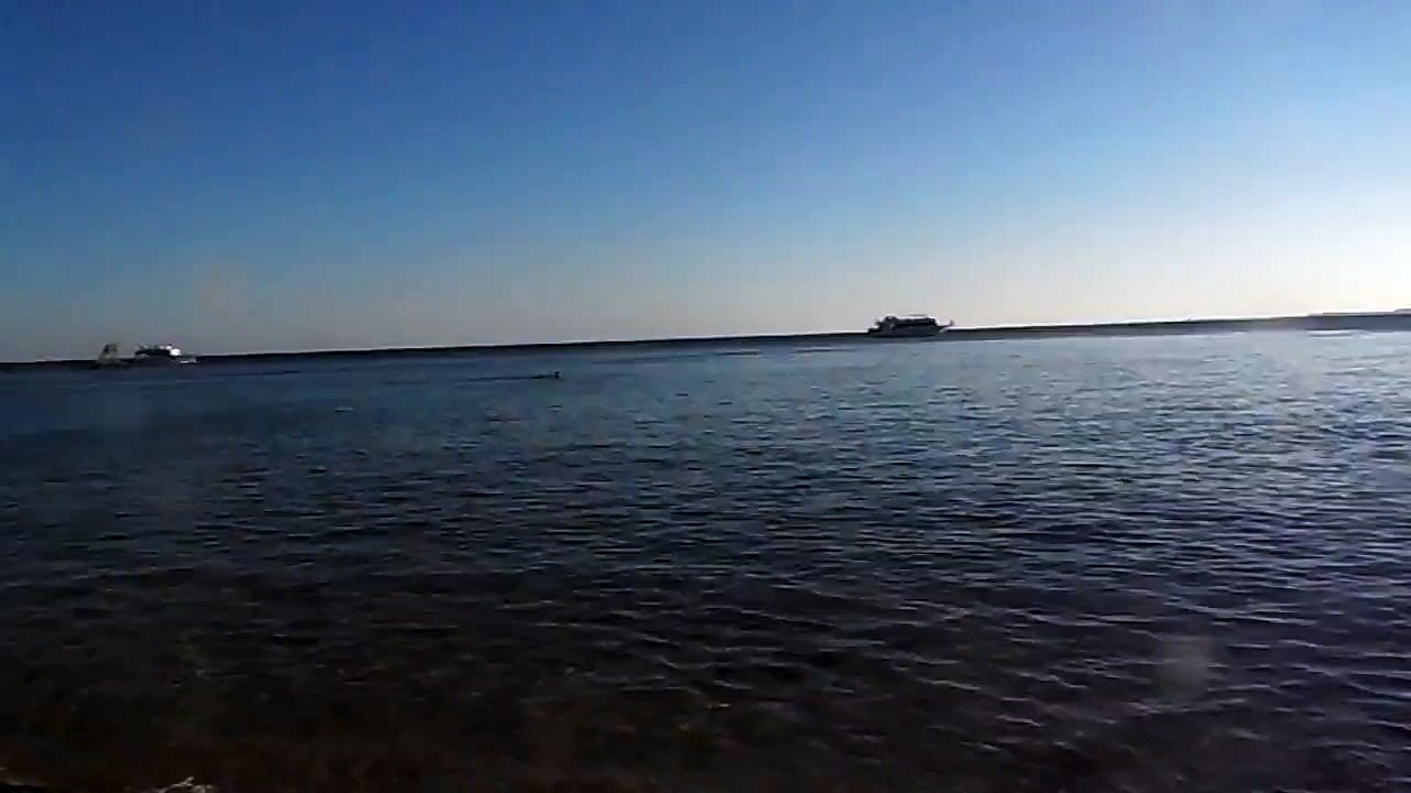 SAM_1055