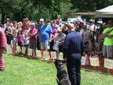 Police Dog Demo in Cottage Grove's Coiner Park (2010)