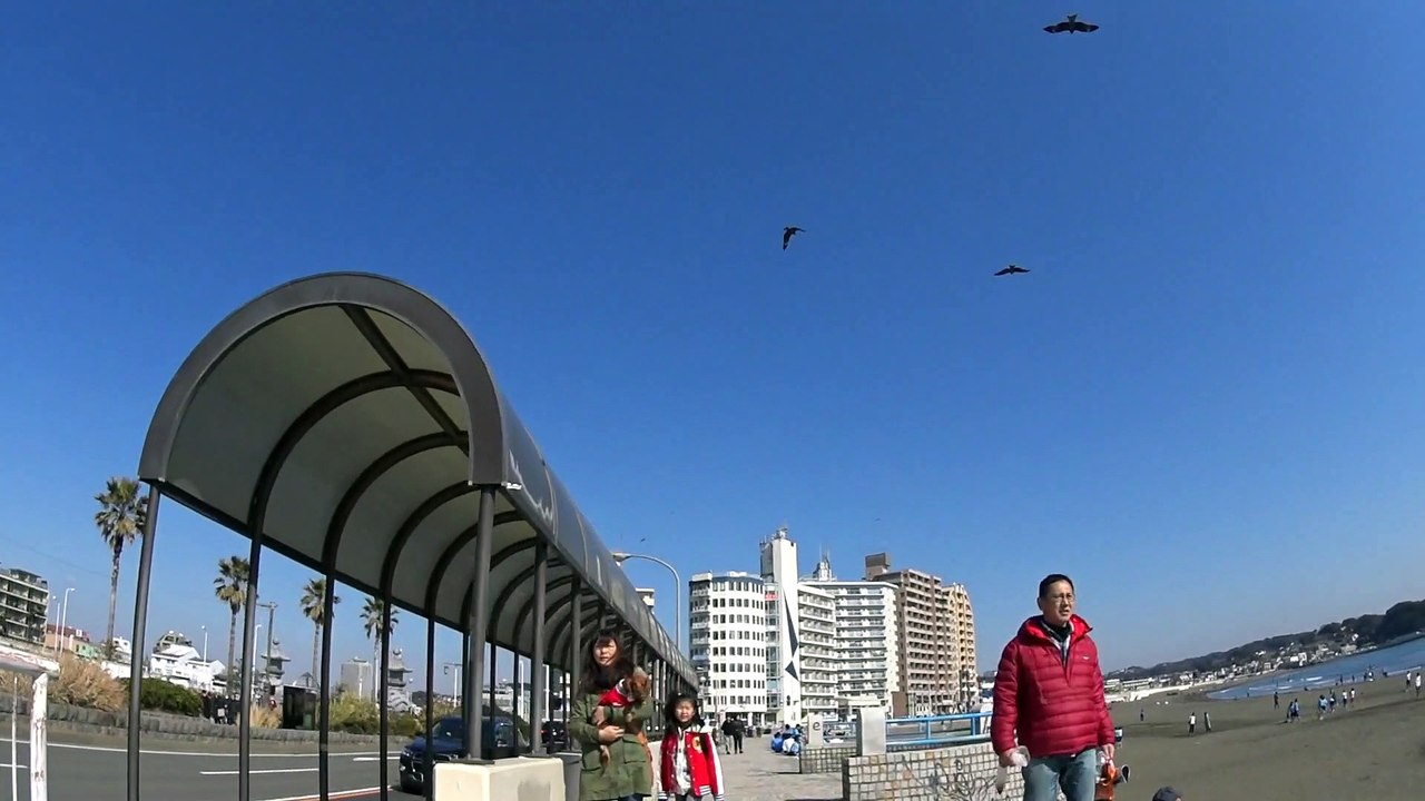 2015-02-11 藤沢江ノ島〜茅ヶ崎まで
