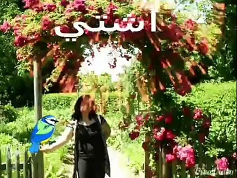 كلية الطب البيطري - دورة 1992