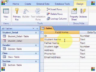 Microsoft Power Access 2007 in Urdu Lesson 13