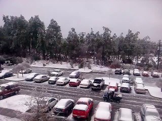 snow fall in south carolina