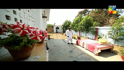 Choti Si Ghalat Fehmi Episode 15 Full High Quality HUM TV 11 February 2015