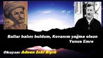 Ballar Balını Buldum-ADNAN ZEKİ BIYIK (YUNUSTAN)