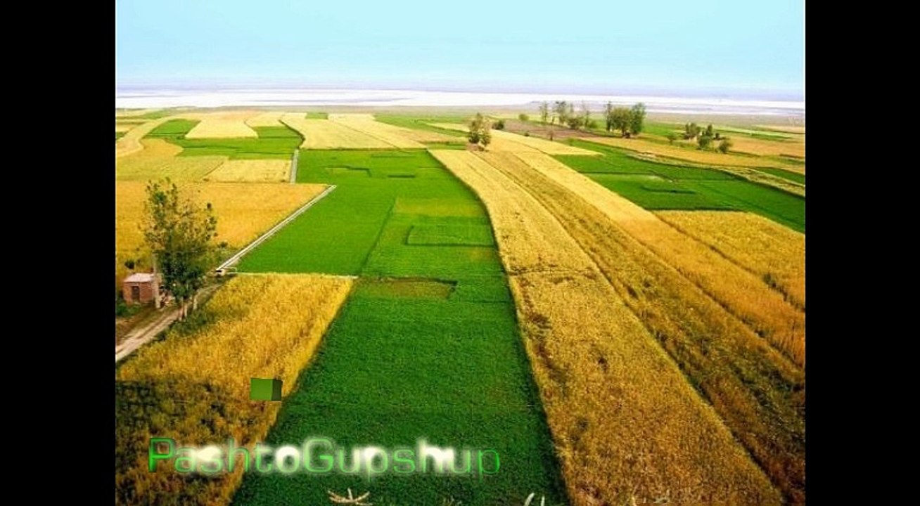 Rasha Musafara - Peace The Band - Pashto New Songs 2015