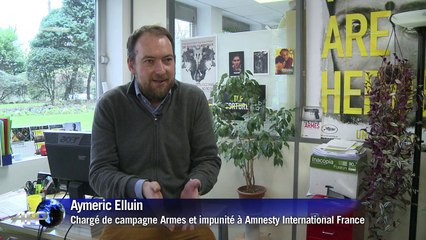 La vente de Rafale à l'Egypte critiquée par Amnesty
