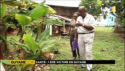 Chikungunya premier décès