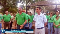 Nacieron dos tigres de bengala en Zoológico del Zulia