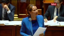 Le Sénat rejette l'objectif de réduire à 50% la part du nucléaire d'ici 2025