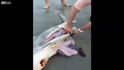 WARNING GRAPHIC CONTENT