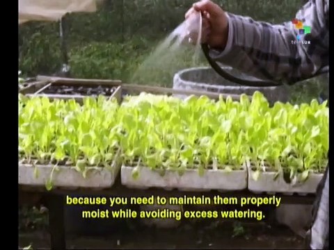 Know Your Body - Crohn Syndrome and its Treatment