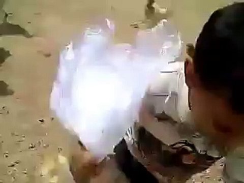 chickens chasing a child very funny