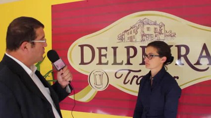 Prévention du risque routier professionnel / Delpeyrat 1e janvier 2014