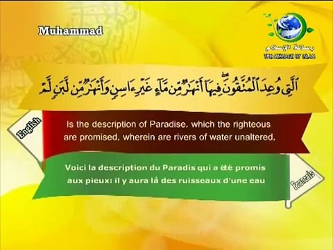 سورة محمد القارئ سعد الغامدي - Surat Muhammad Saad el ghamdi