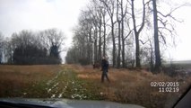 Runaway Cow Tries To Attack Cop In Czech Republic!