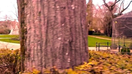 Un dimanche au parc de Blossac