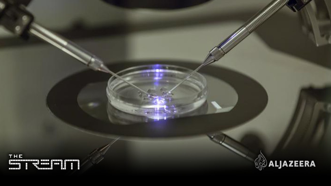 The Stream - Three-person IVF: Defying disease or reckless research?