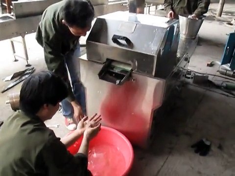 Máy cắt nha đam, máy cắt nha đam hạt lựu, máy cắt hạt lựu,máy cắt nha đam làm nước