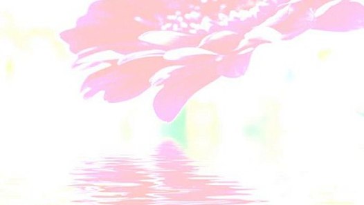 Eset Nod32 Crack Key Generator